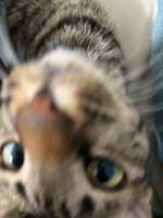 https://images.plurk.com/48lOGoWEorVCXJFFz1tYHy.jpg