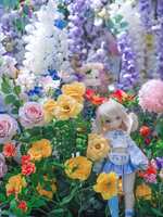 https://images.plurk.com/48lQKWqZtRK8OquSiLpWRm.png