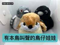 https://images.plurk.com/48lSnoFhdDdvSbYpZJ0X3w.png