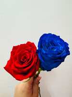 https://images.plurk.com/48w4upC7aPMwuwsGGh6DXR.jpg