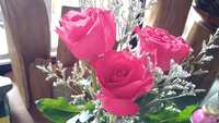 https://images.plurk.com/496y8jmyjyxm1EuQhSwLWp.jpg