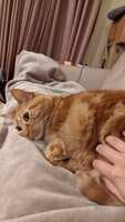 https://images.plurk.com/49DPneY5sGCjdEtGt3wNyu.jpg