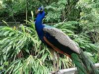 https://images.plurk.com/49H5isoBX3lDHegXlQG66l.jpg