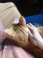 https://images.plurk.com/49Pt8LbSJuVwzOF7tlCkqP.jpg