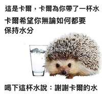https://images.plurk.com/49QeTV86VeXeFzxooP9jSj.jpg