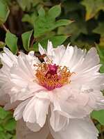 https://images.plurk.com/49TypP58KYT7RSogdyFCgj.jpg