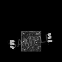 https://images.plurk.com/49V0GtMSQ2SKa7VSQU4sPZ.png