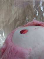 https://images.plurk.com/49g7MUOO89bLfY4vkDxcc.jpg