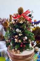 https://images.plurk.com/49lZU1PXfzeRBBhPNxnoTC.jpg