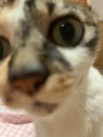 https://images.plurk.com/49rIszLskBNt7xW5GxzSCm.jpg