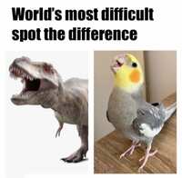https://images.plurk.com/49wM5yqflFnjOQMIrr5KNP.jpg
