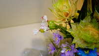 https://images.plurk.com/4A0UXTjTRxoPWXHKRCdeQq.jpg