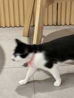 https://images.plurk.com/4AEMzfauZqNsBTgYO3KZGm.jpg