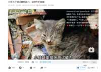 https://images.plurk.com/4AFRzvpv0Lk86eMhQ20Snb.png