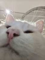 https://images.plurk.com/4AcdQN3Jb1IKAN6XJbD6ec.jpg