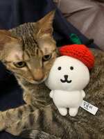https://images.plurk.com/4Acf5Bln9C9MPvXNHlmige.jpg