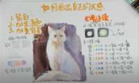 https://images.plurk.com/4AikidtYZWY5NEQhEWOk00.png