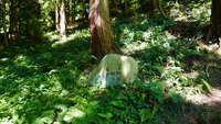 https://images.plurk.com/4AtUXlbCGNJl0LjikBXbVx.jpg