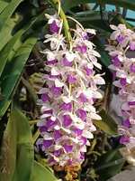 https://images.plurk.com/4AymJ7KVPqPjDsmk5bMu14.jpg