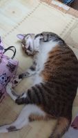 https://images.plurk.com/4BNs0yUS1DgetwBfcxX0T.jpg