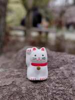 https://images.plurk.com/4BNu2dOobBO6C2UmcOCdmb.jpg