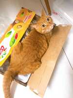 https://images.plurk.com/4BOxGbRR7zL6qqwt25GO6Y.jpg