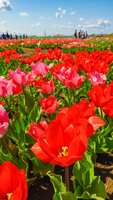 https://images.plurk.com/4BR5iELn4JflMEw0PZ6abr.jpg