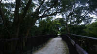 https://images.plurk.com/4BYVw5tMBoqLgRCXyGvfBF.jpg