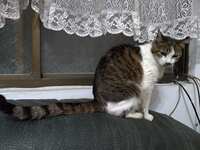 https://images.plurk.com/4Bcybdet9rz0haBvK7pP9Q.jpg