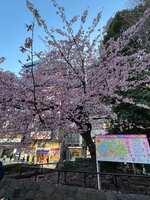 https://images.plurk.com/4BinSI7pd7Biotfbx8Ofd.jpg