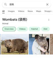 https://images.plurk.com/4BpB1zTNBUBqD0mDOzHzyg.jpg