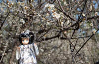 https://images.plurk.com/4BtfOgEC9XQueUsqc801OU.jpg