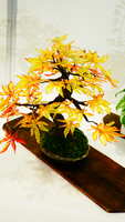 https://images.plurk.com/4BwQ0F2DKHreDnxh949g73.jpg