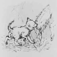 https://images.plurk.com/4BwqKDdXOGBVPvtKu6t99O.jpg