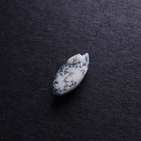 https://images.plurk.com/4BzpTNmTODpK7bVaUFZIHc.jpg