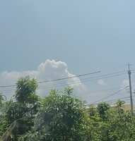 https://images.plurk.com/4C7dkFXKTKX7wp02DCaBNI.jpg