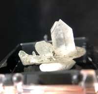 https://images.plurk.com/4C9U52nn0wGy6HZJIdf5A1.jpg