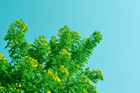 https://images.plurk.com/4CAnfbwNAVWhaWK2gXQlxP.jpg