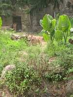 https://images.plurk.com/4CCVEMfTqnptMZhvbX1vnm.jpg