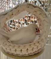 https://images.plurk.com/4CFisGMmHavuQ0CQUIAbzH.jpg