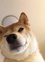 https://images.plurk.com/4CG12QdMAis2DUH5bHMxUQ.jpg
