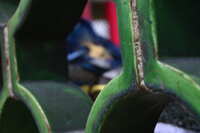 https://images.plurk.com/4CGJDktQyWIOaQBC0CkNTw.jpg