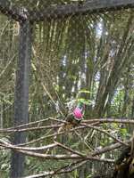https://images.plurk.com/4CJ0171CMUVdkg73m2wdse.jpg