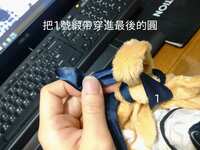 https://images.plurk.com/4CNCz3lbV92cjUh9AW84Gy.jpg