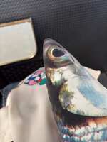 https://images.plurk.com/4CNGJ2n1HkSxg3soq7NirS.jpg