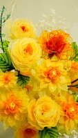 https://images.plurk.com/4COIAWFjtRdI39ouy9V5YZ.jpg