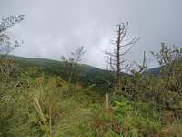 https://images.plurk.com/4CYxOu1aD7Jq27vcBGBfGf.jpg