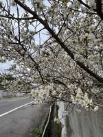 https://images.plurk.com/4Cd4yjx2ogSBMs6kEQO6h0.jpg