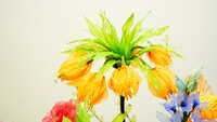 https://images.plurk.com/4CdFKzJEm4HkpnAnziodtB.jpg