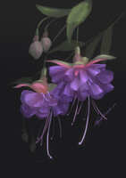 https://images.plurk.com/4CeuUE3VzDUDQSRcjFrPbB.jpg